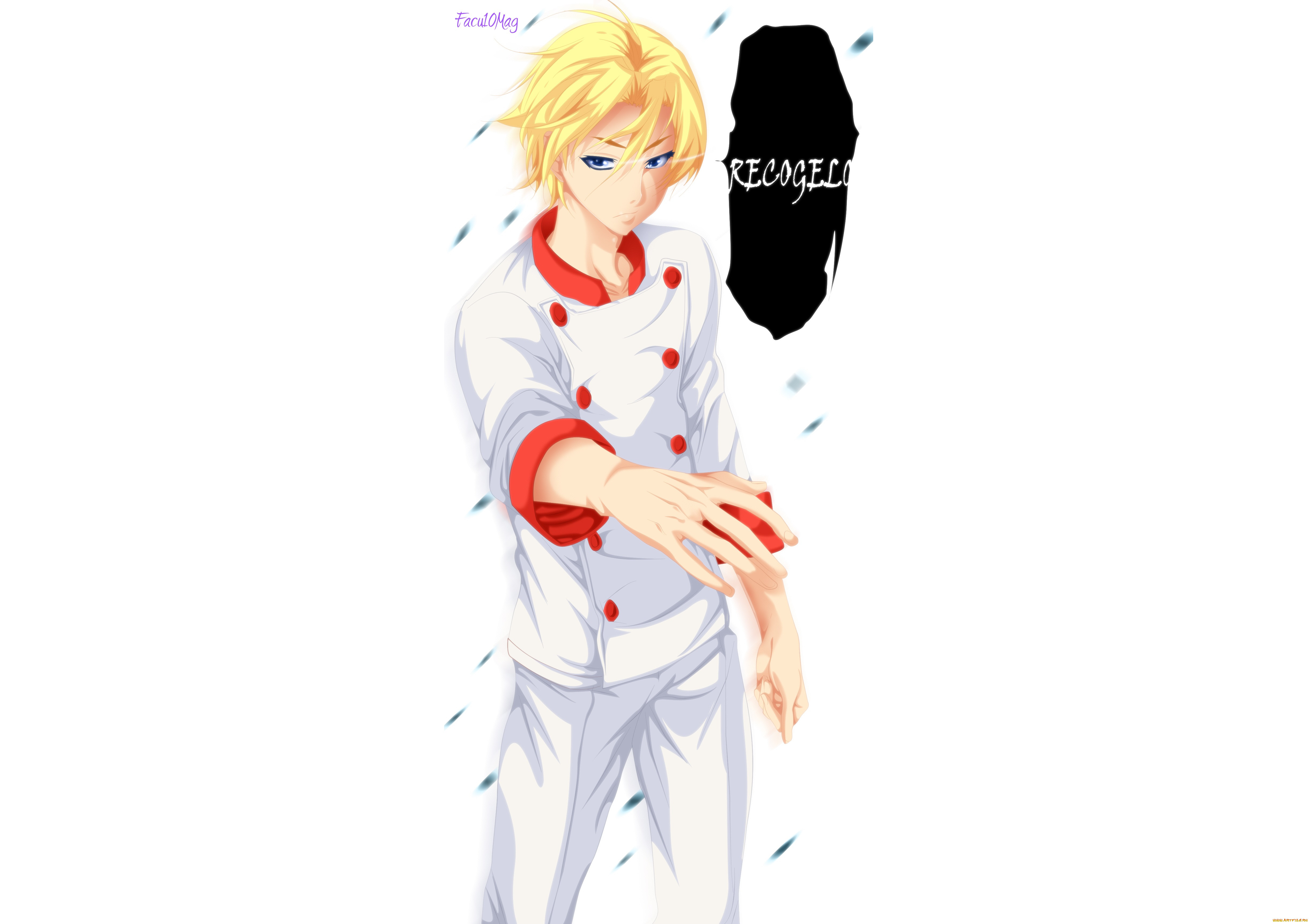 , shokugeki no soma, , 